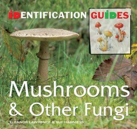 Mushrooms and Other Fungi Identification Guide NHBS Field Guides