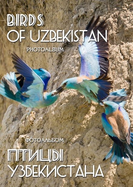 Birds of Uzbekistan: Photoalbum