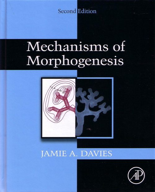 Mechanisms of Morphogenesis