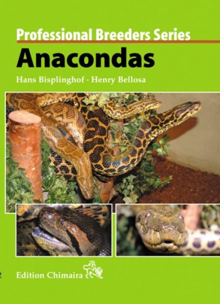Anacondas