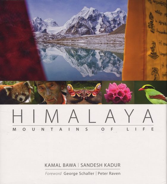 Himalaya