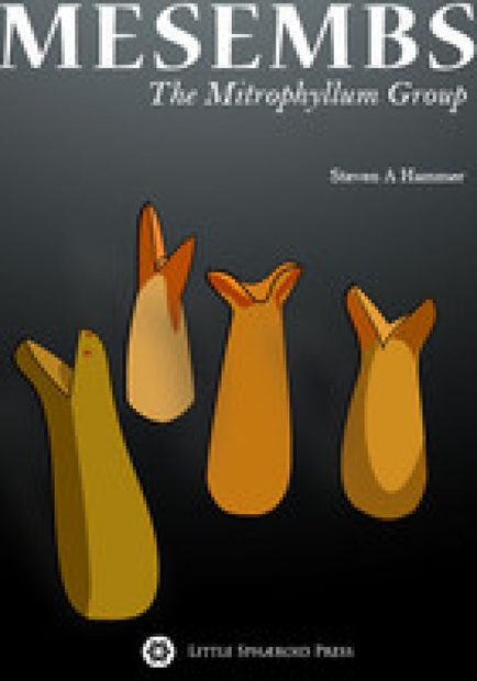 Mesembs: The Mitrophyllum Group