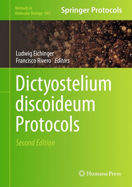 Dictyostelium Discoideum Protocols