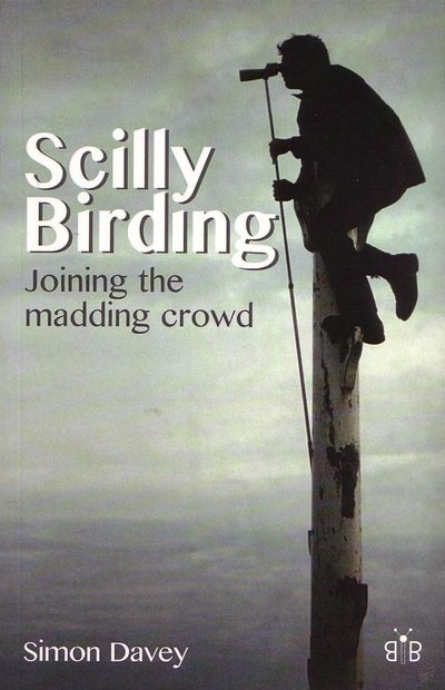 Scilly Birding