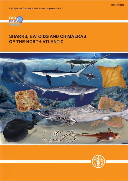 Sharks, Batoids and Chimaeras of the North Atlantic