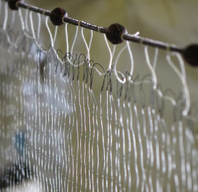 Monofilament Single Panel Survey Gill Nets