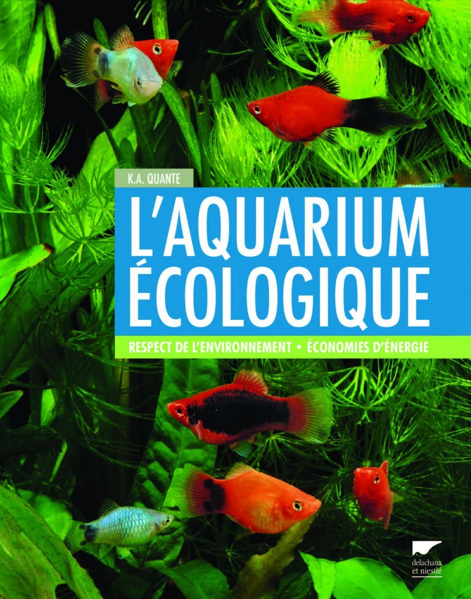 Éco-aquarium : définition et explications