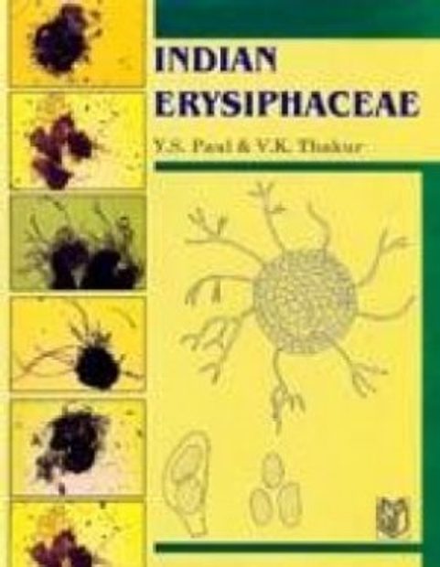 Indian Erysiphaceae