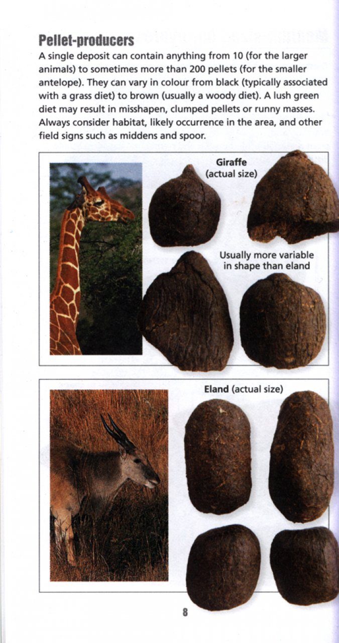 Scatalog: Quick ID Guide to Southern African Animal Droppings | NHBS Field  Guides & Natural History