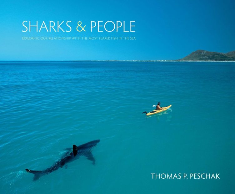 Sharks & People