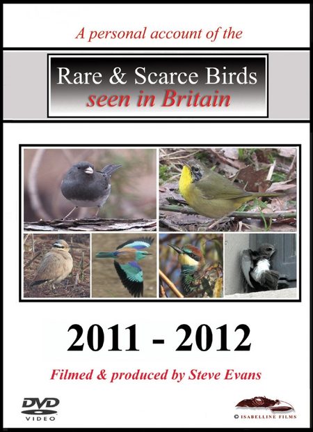 Rare & Scarce Birds Seen in Britain 2011-2012 (All Regions)