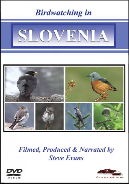 Birdwatching in Slovenia (All Regions)