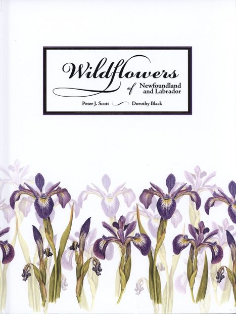 Wildflowers of Newfoundland and Labrador