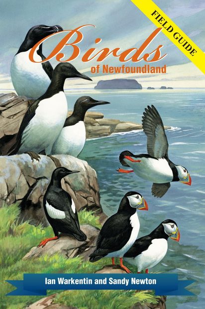 Birds of Newfoundland | NHBS Field Guides & Natural History