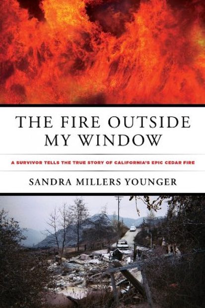 The Fire Outside My Window