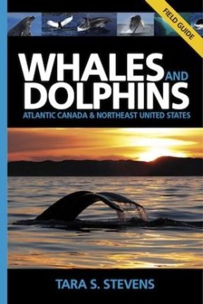 Whales and Dolphins: Atlantic Canada & Northeast United States