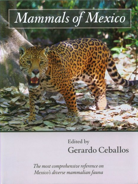 Mammals of Mexico