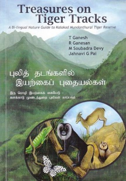 Treasures on Tiger Tracks