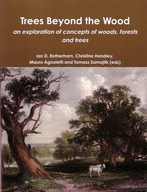 Trees Beyond the Wood