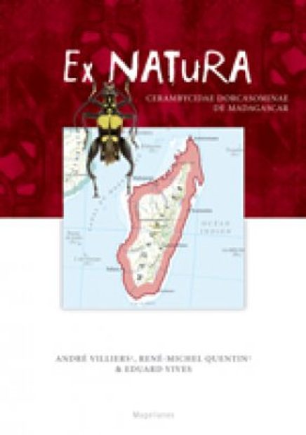 Cerambycidae, Dorcasominae de Madagascar