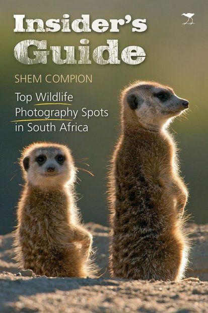 Top Wildlife Photography Spots in South Africa