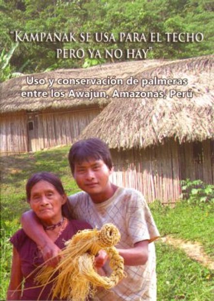 Kampanak se Usa Para el Techo Pero Ya No Hay