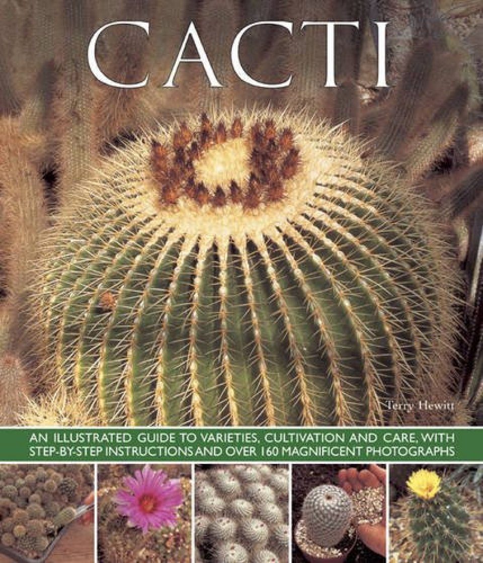 Cacti An Illustrated Guide To Varieties Cultivation And