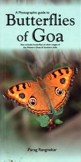 A Photographic Guide to Butterflies of Goa
