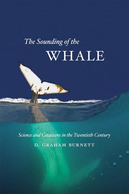 The Sounding of the Whale