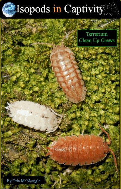 Isopods in Captivity