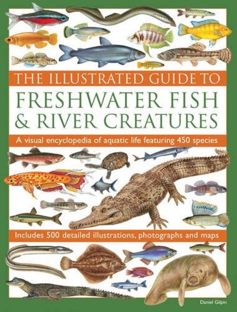 The Illustrated Guide to Freshwater Fish & River Creatures