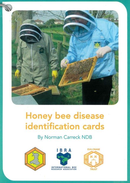 Honey Bee Disease Identification Cards