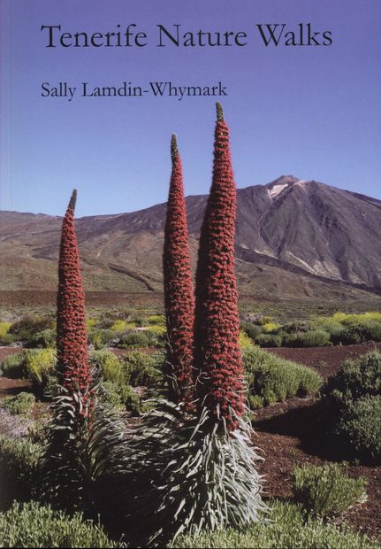 Tenerife Nature Walks