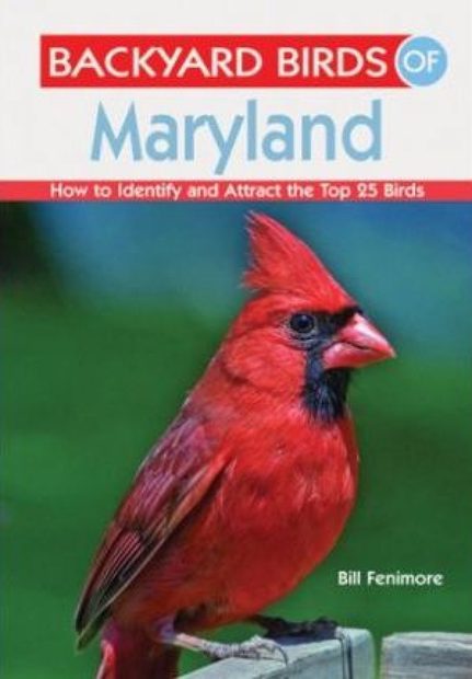 Backyard Birds of Maryland