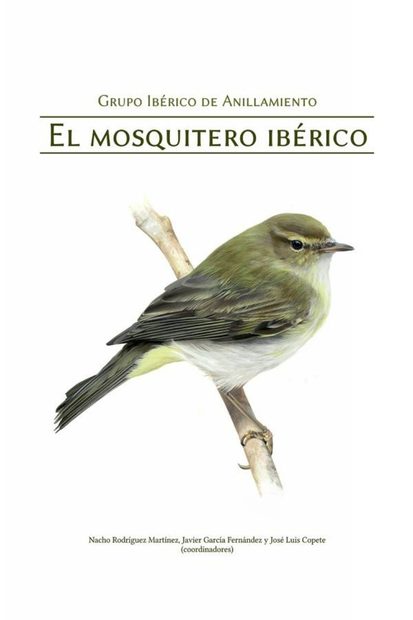 El Mosquitero Ibérico [The Iberian Chiffchaff]
