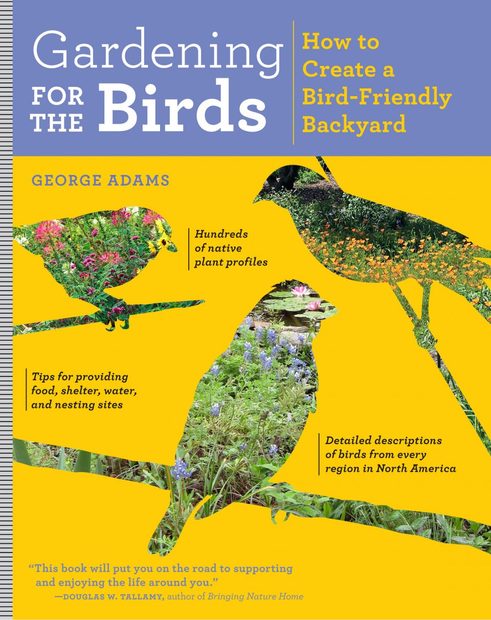 Gardening for the Birds