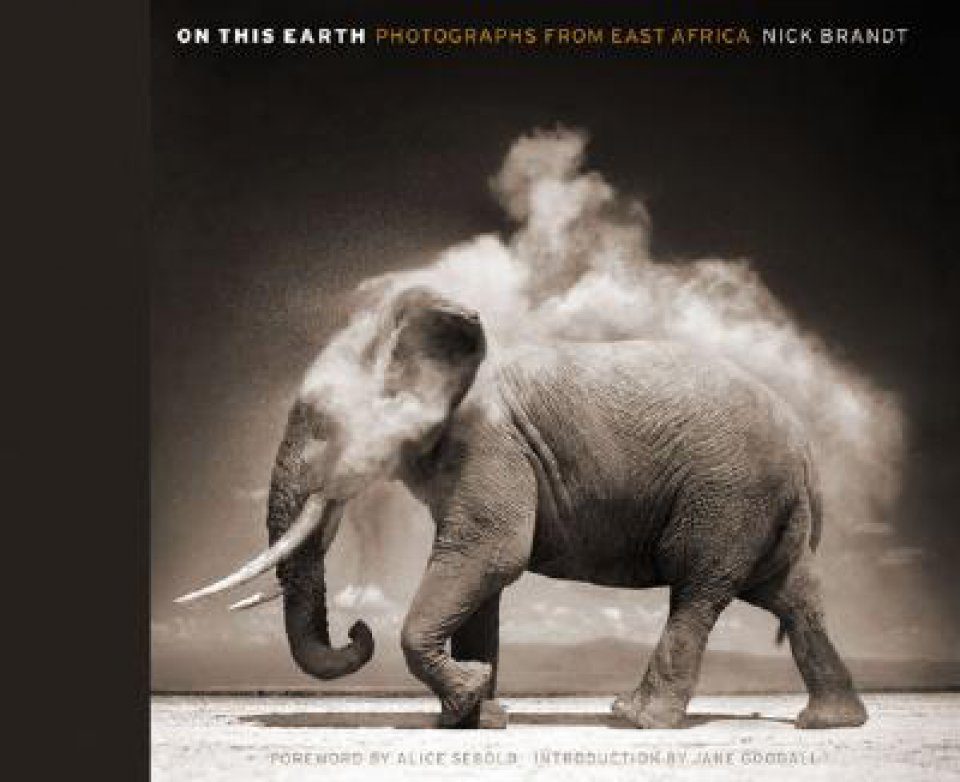 Taschen Inside Africa North&East 写真集 洋書 Taschen 洋書 20th Century Photography 写真集 - メルカリ