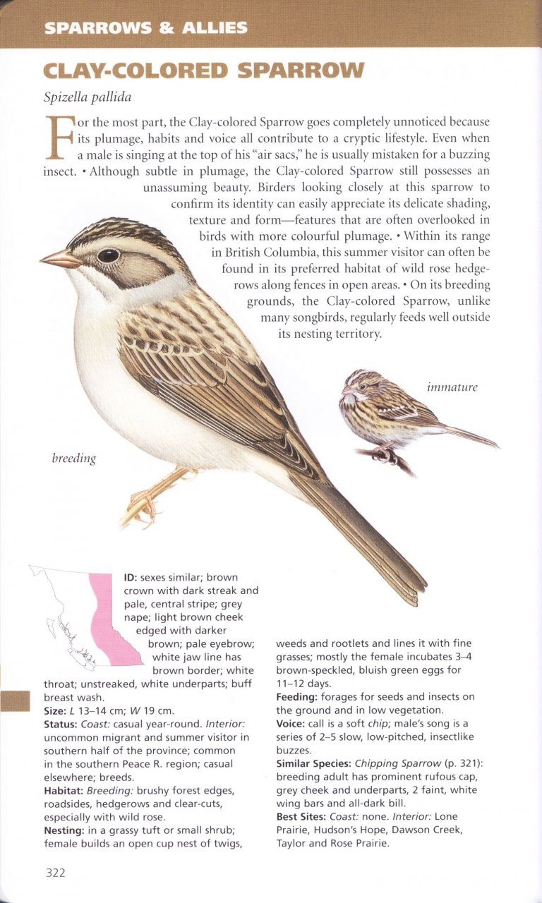 Birds Of British Columbia Nhbs Field Guides Amp Natural