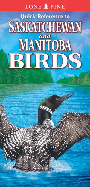 Quick Reference to Saskatchean and Manitoba Birds