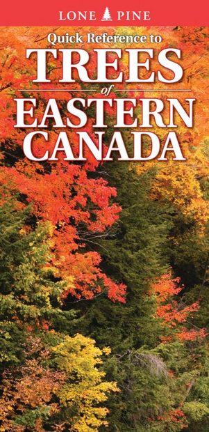 Quick Reference to Trees of Eastern Canada