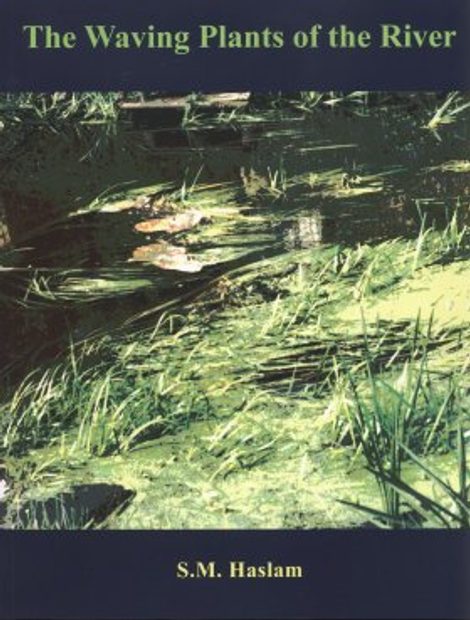The Waving Plants of the River