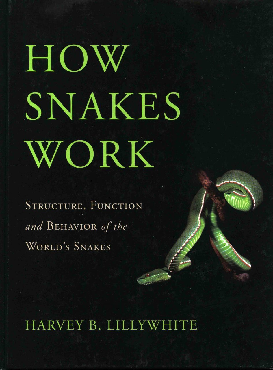 How Snakes Work Structure Function And Behavior Of The