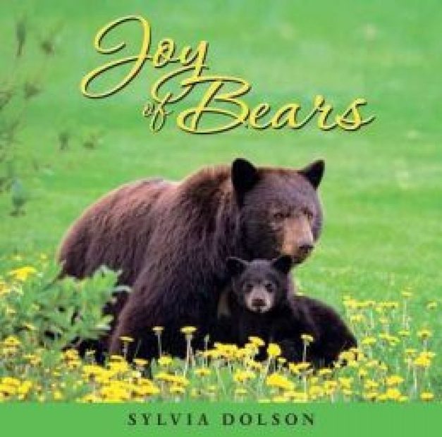 Joy Of Bears 