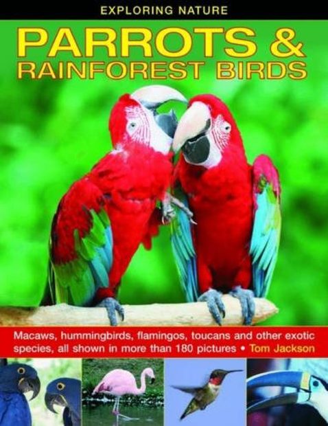 Parrots & Rainforest Birds
