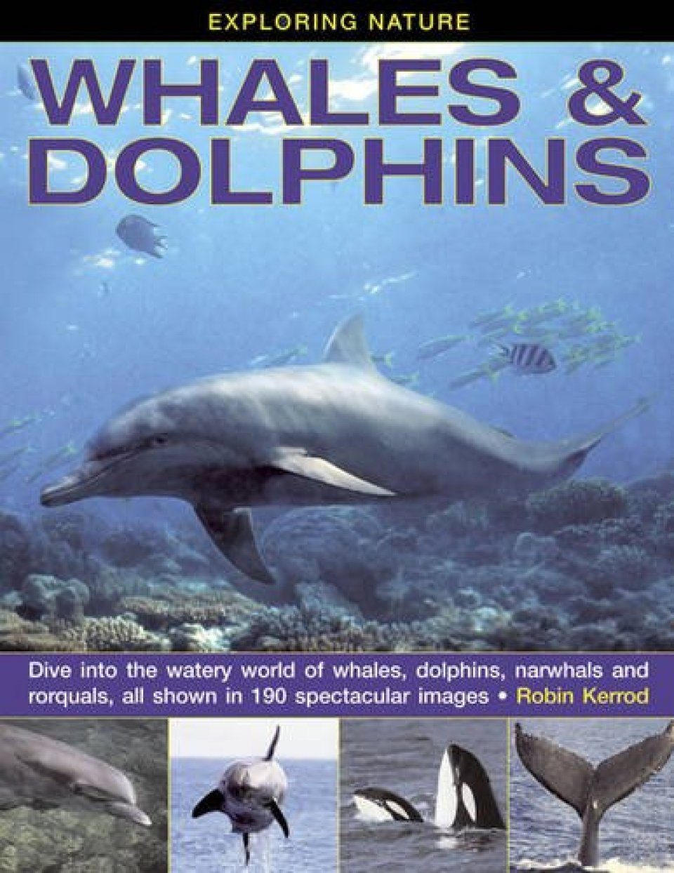 Whales & Dolphins | NHBS Academic & Professional Books