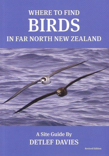 Where to Find Birds in Far North New Zealand