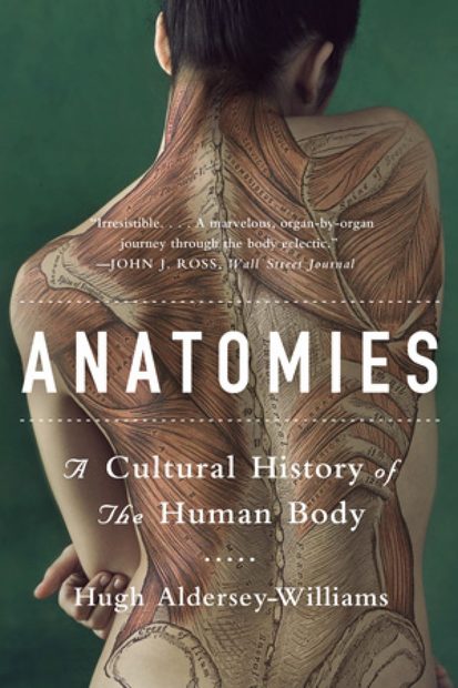 Anatomies