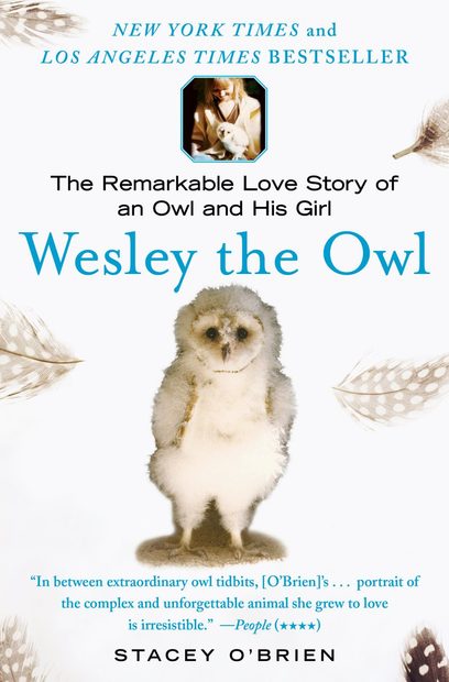 Wesley the Owl