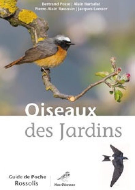 Oiseaux des Jardins (Book Only) | NHBS Field Guides & Natural History