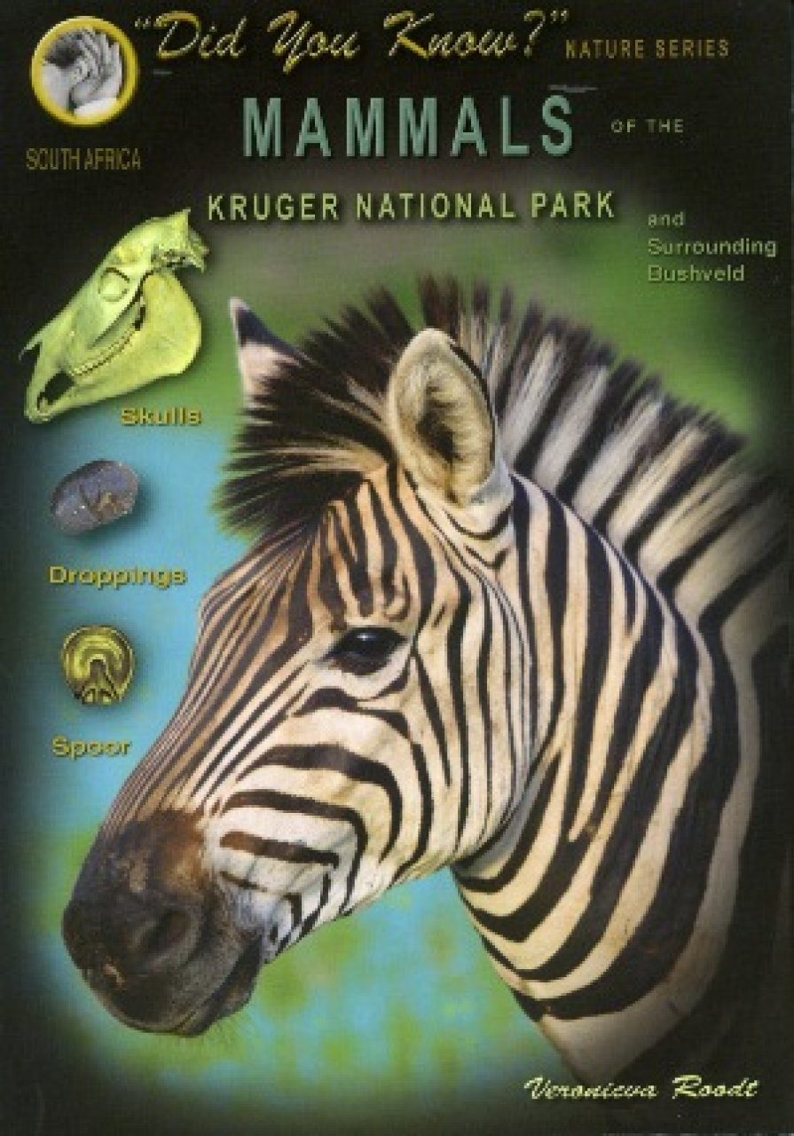 Mammals Of The Kruger National Park And Surrounding